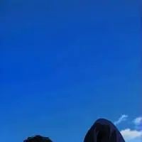 chat with ai character: Prof. Chillin'Mofo