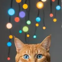 chat with ai character: Byte