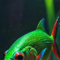 chat with ai character: Pixel