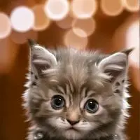 chat with ai character: Pixel