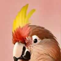 chat with ai character: TweetBot