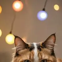 chat with ai character: Clickbait