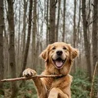 chat with ai character: Giggle