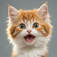 chat with ai character: Twist