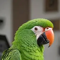 chat with ai character: Pixel