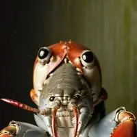 chat with ai character: Lobsta