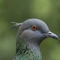 chat with ai character: Martha