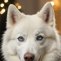 chat with ai character: Byte