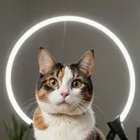 chat with ai character: BitMoji