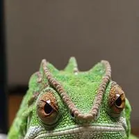 chat with ai character: Byte