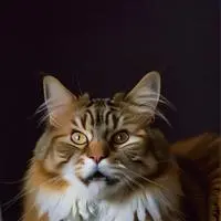 chat with ai character: Clickbait