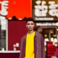 chat with ai character: The Strawberry Elephant