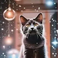 chat with ai character: Shapeshifter Whisk