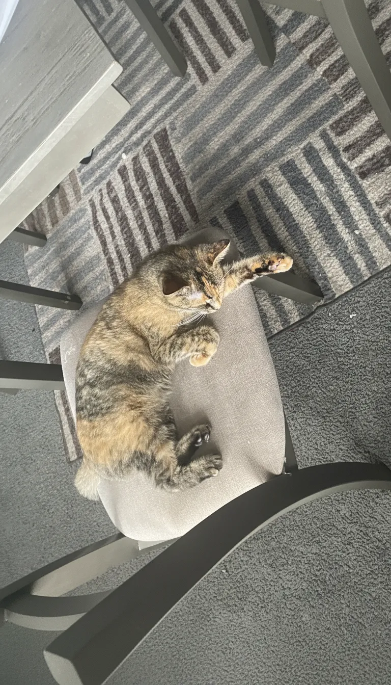 ai character: Tiki mama  background