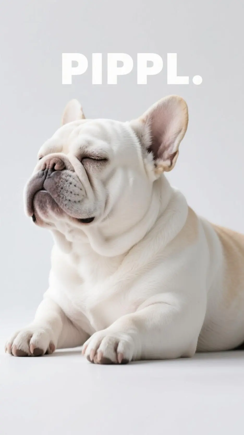 ai character: pibble  background