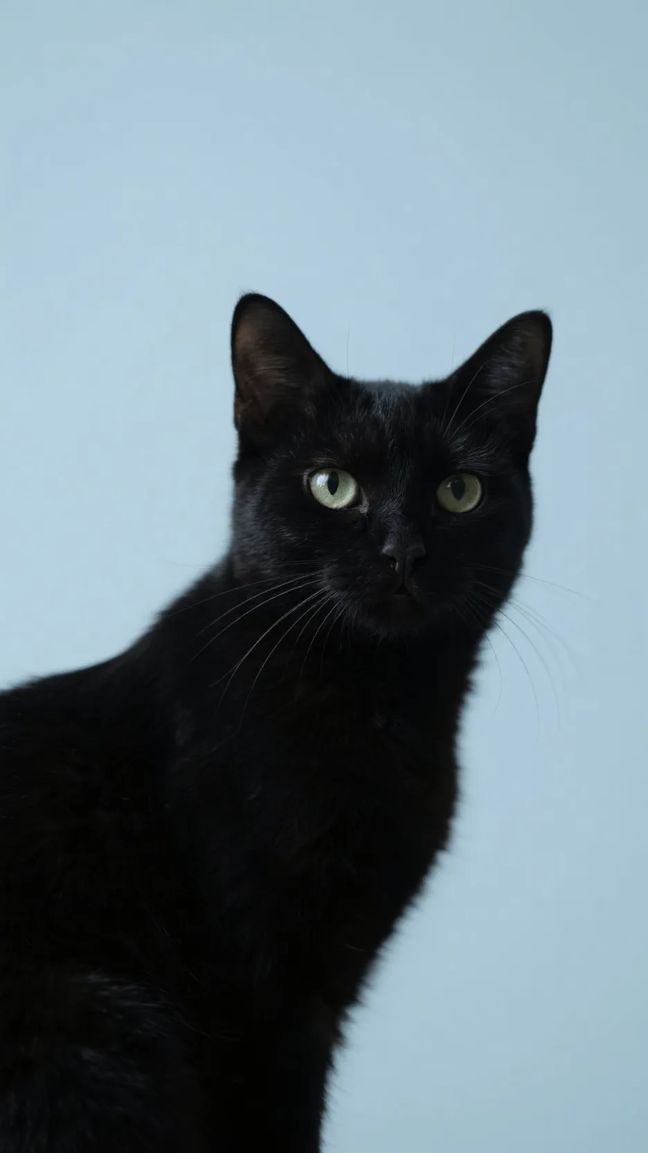 ai character: Tom background