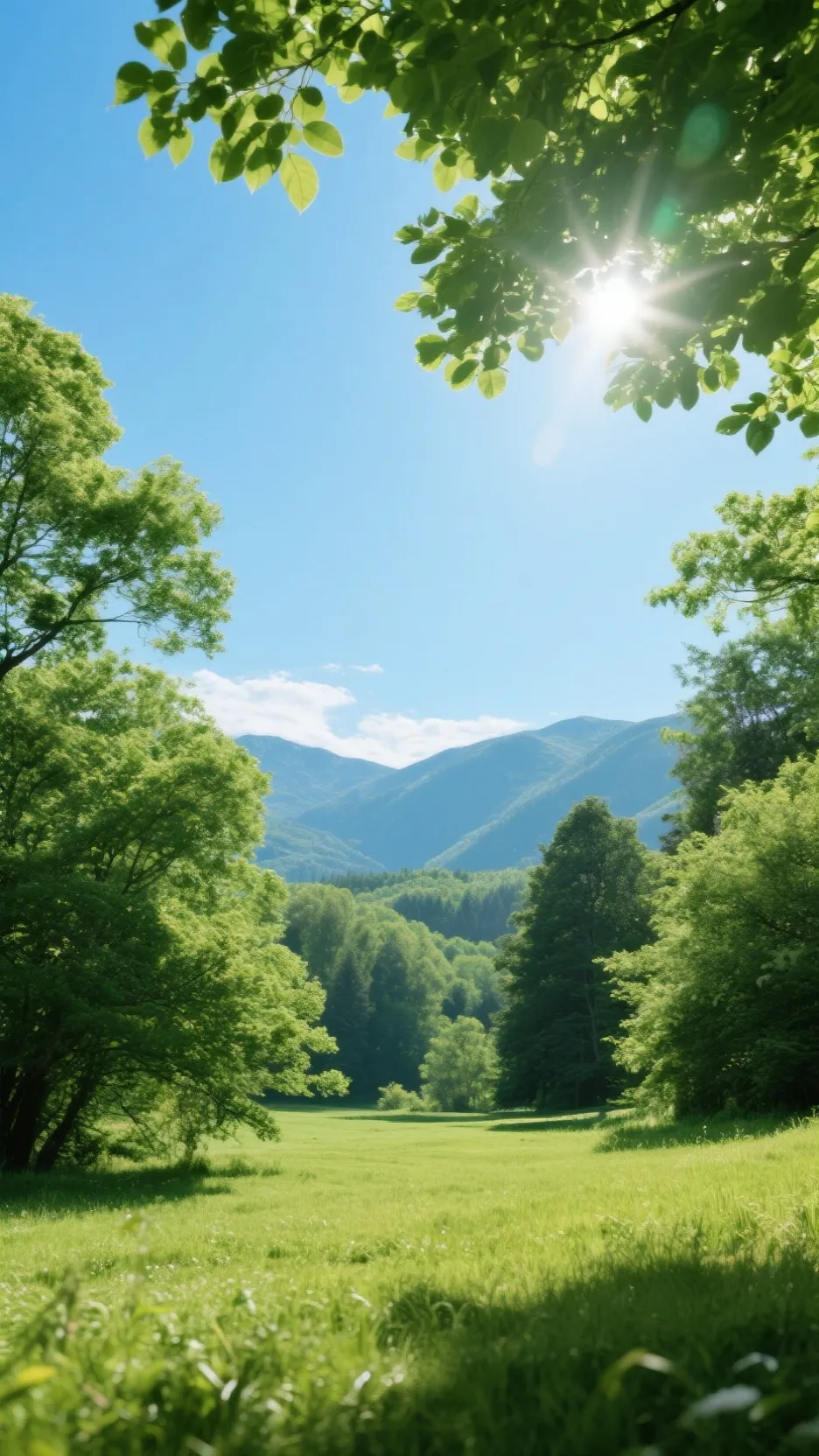 ai character: kpdh background