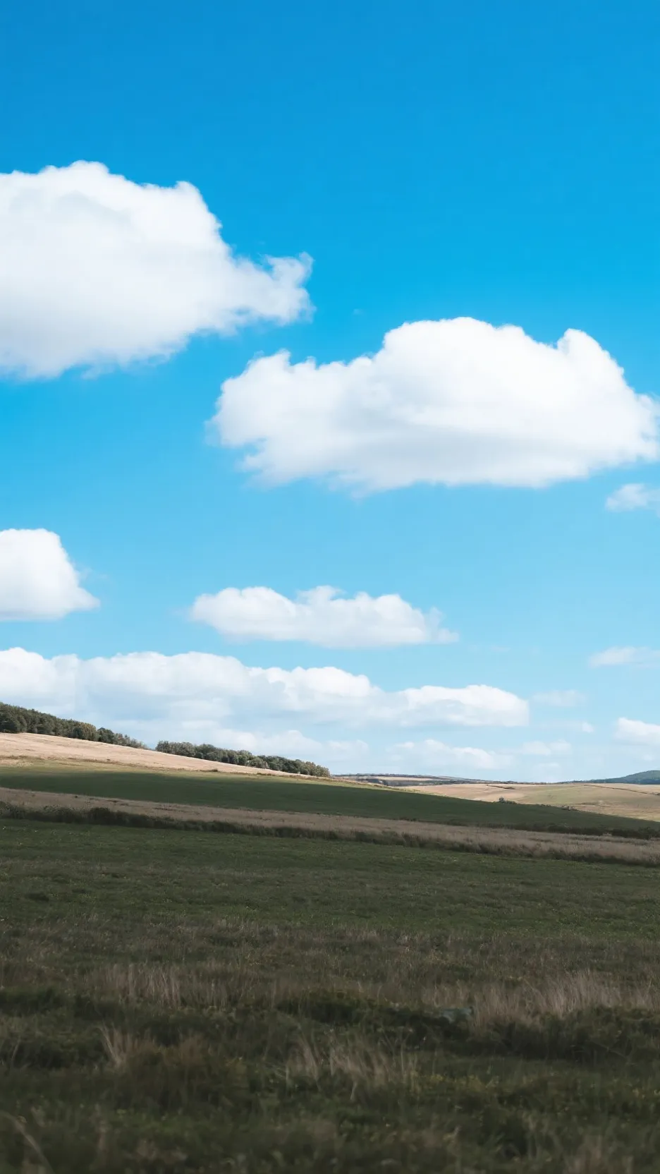 ai character: riddles  background