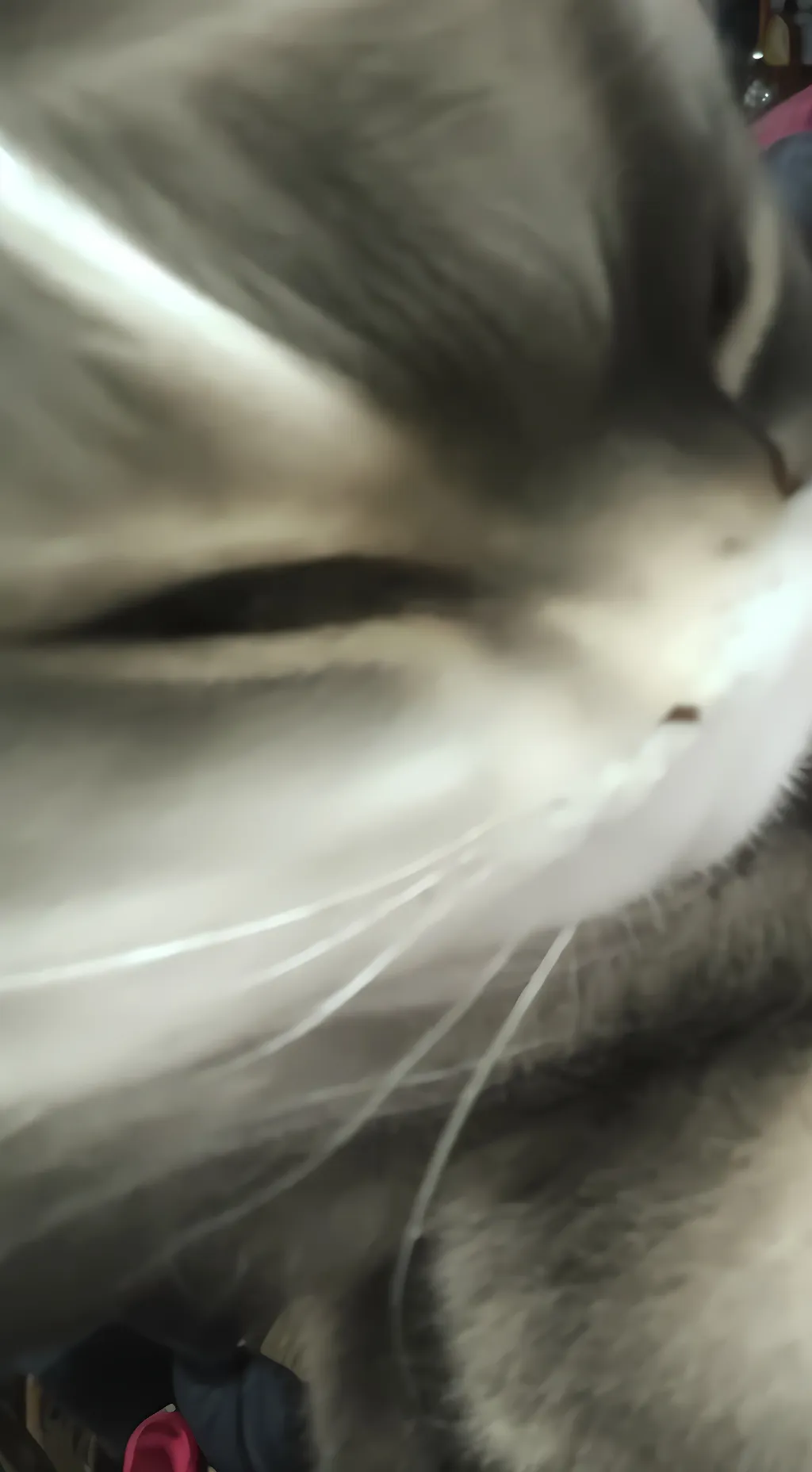 ai character: ace background