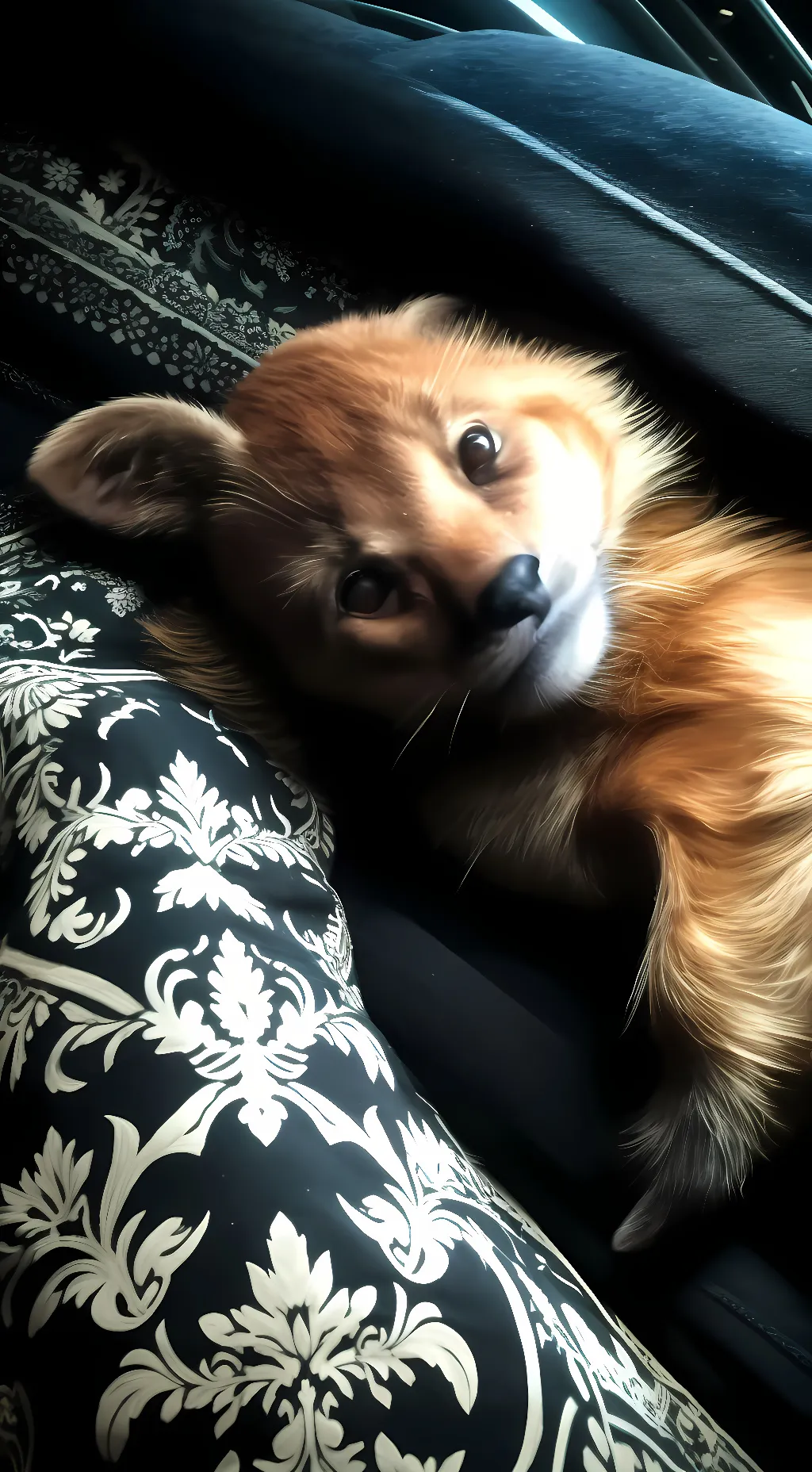 ai character: Mikelo background