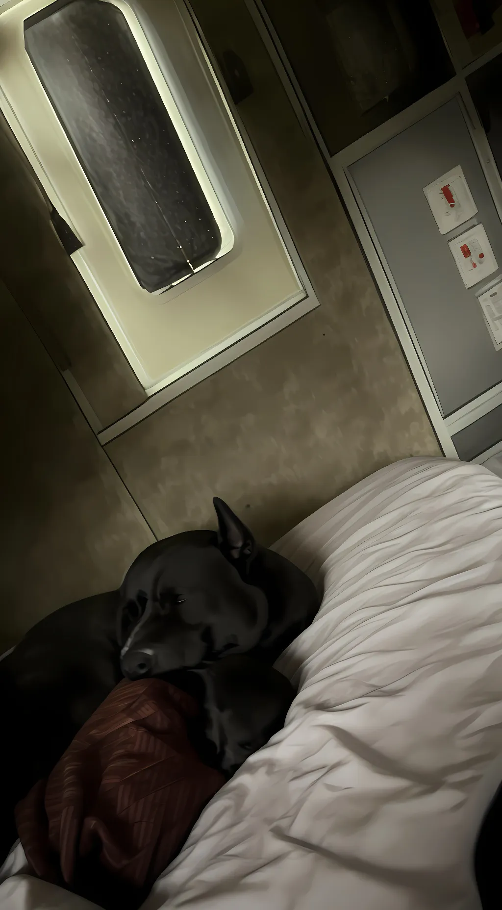 Talkie AI - Chat with Rex