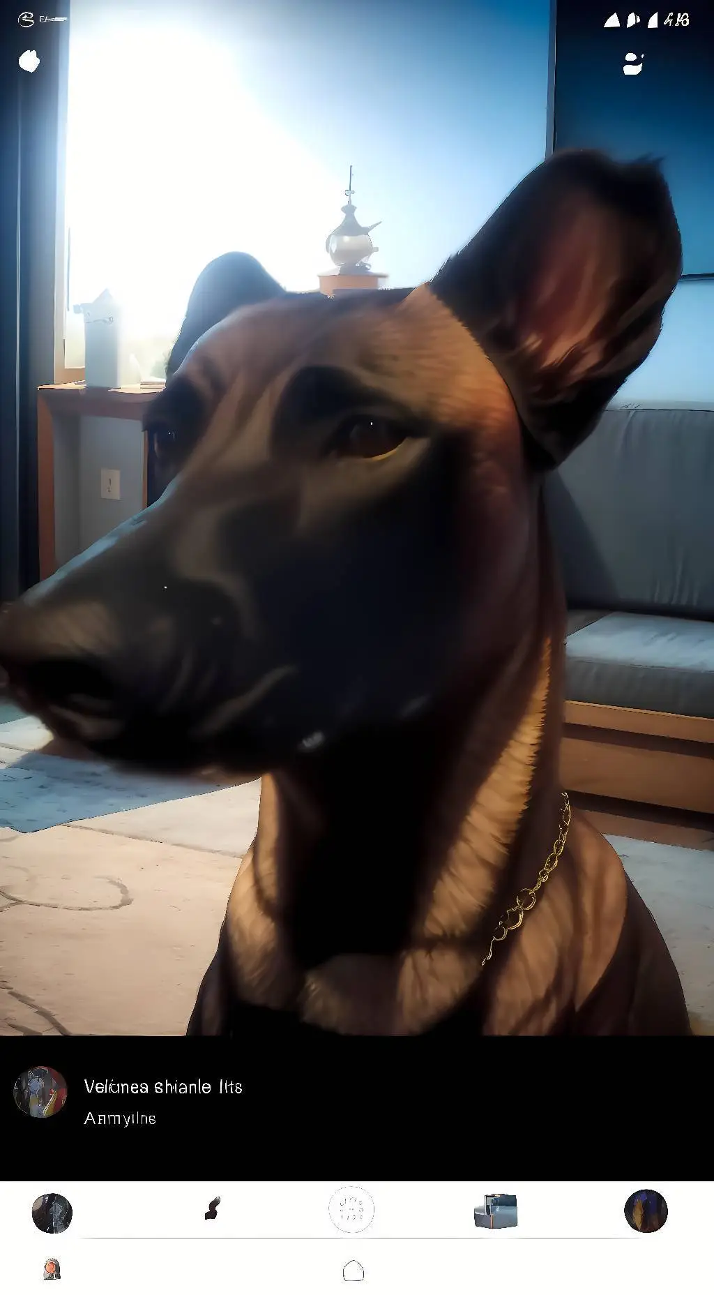 ai character: Arche background