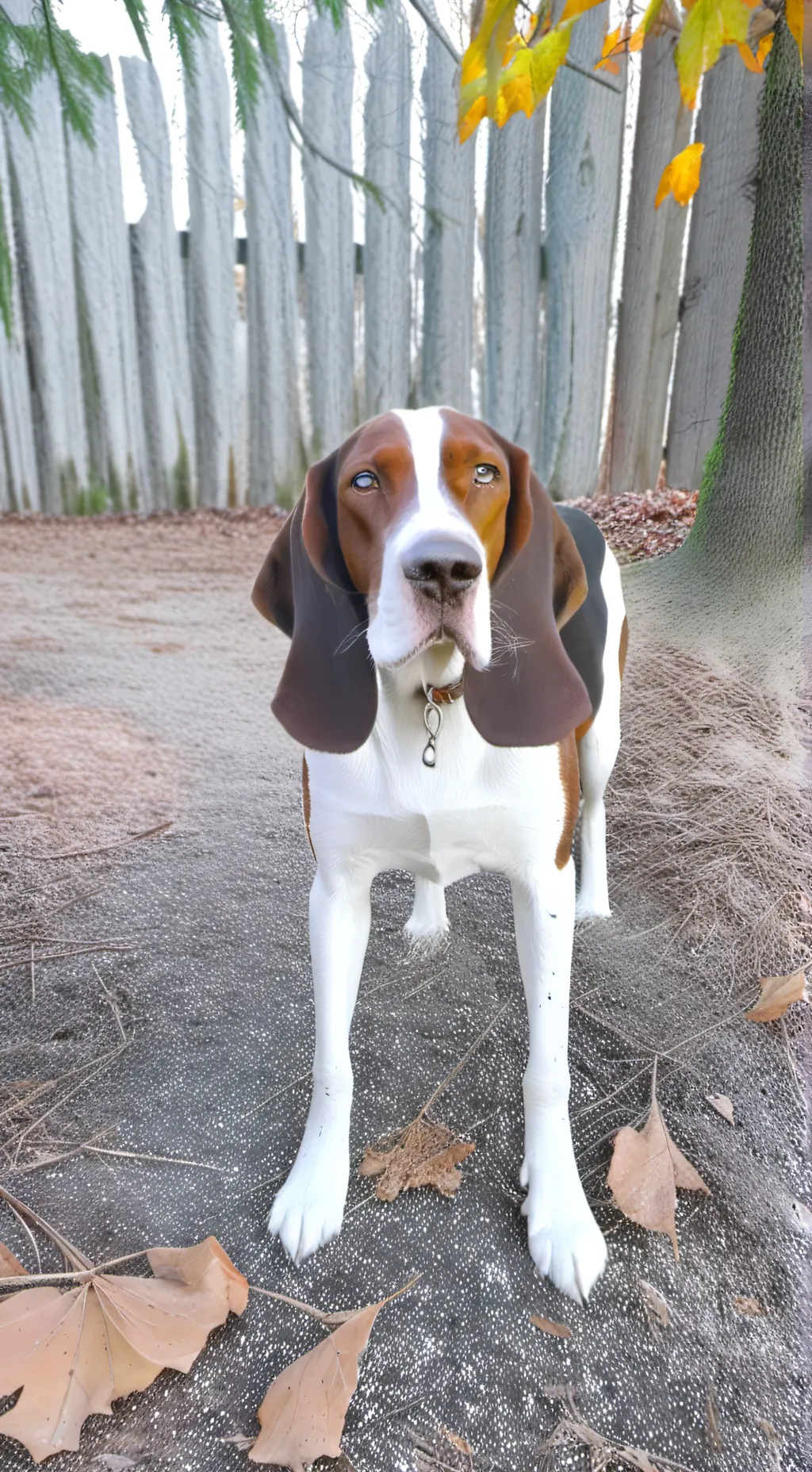 ai character: feary background