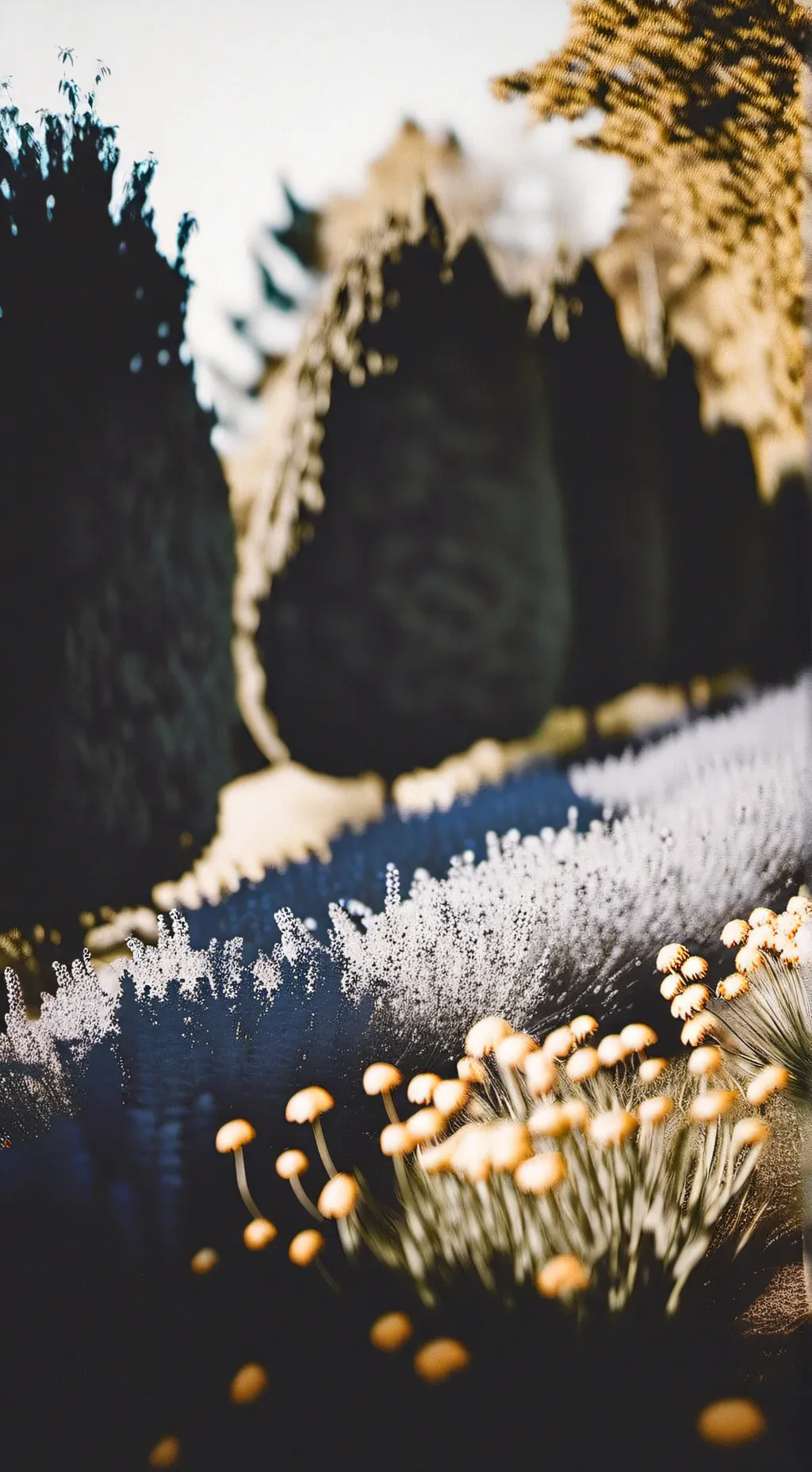 ai character: Dandy'sWorld Mains background