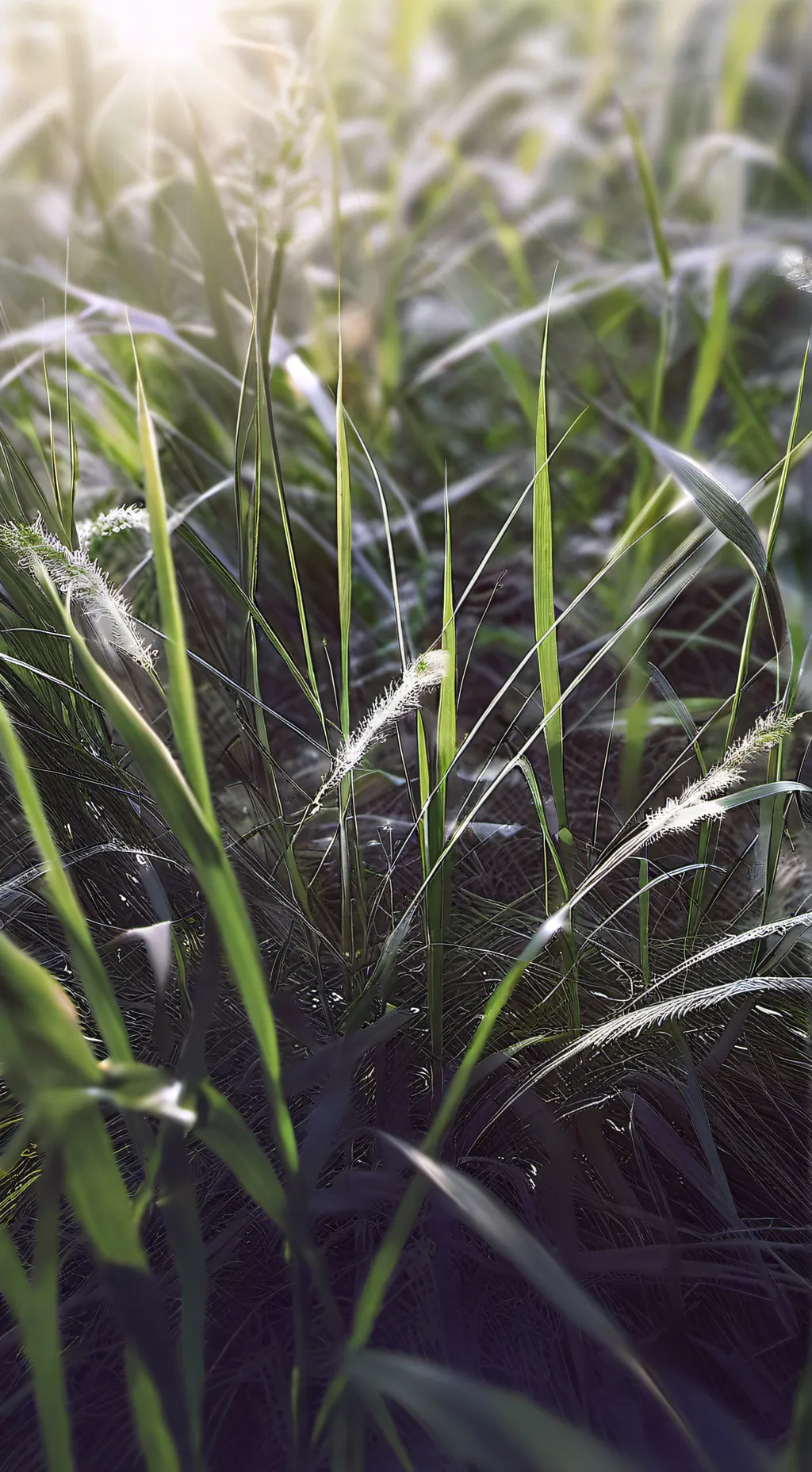 ai character: GRASS background