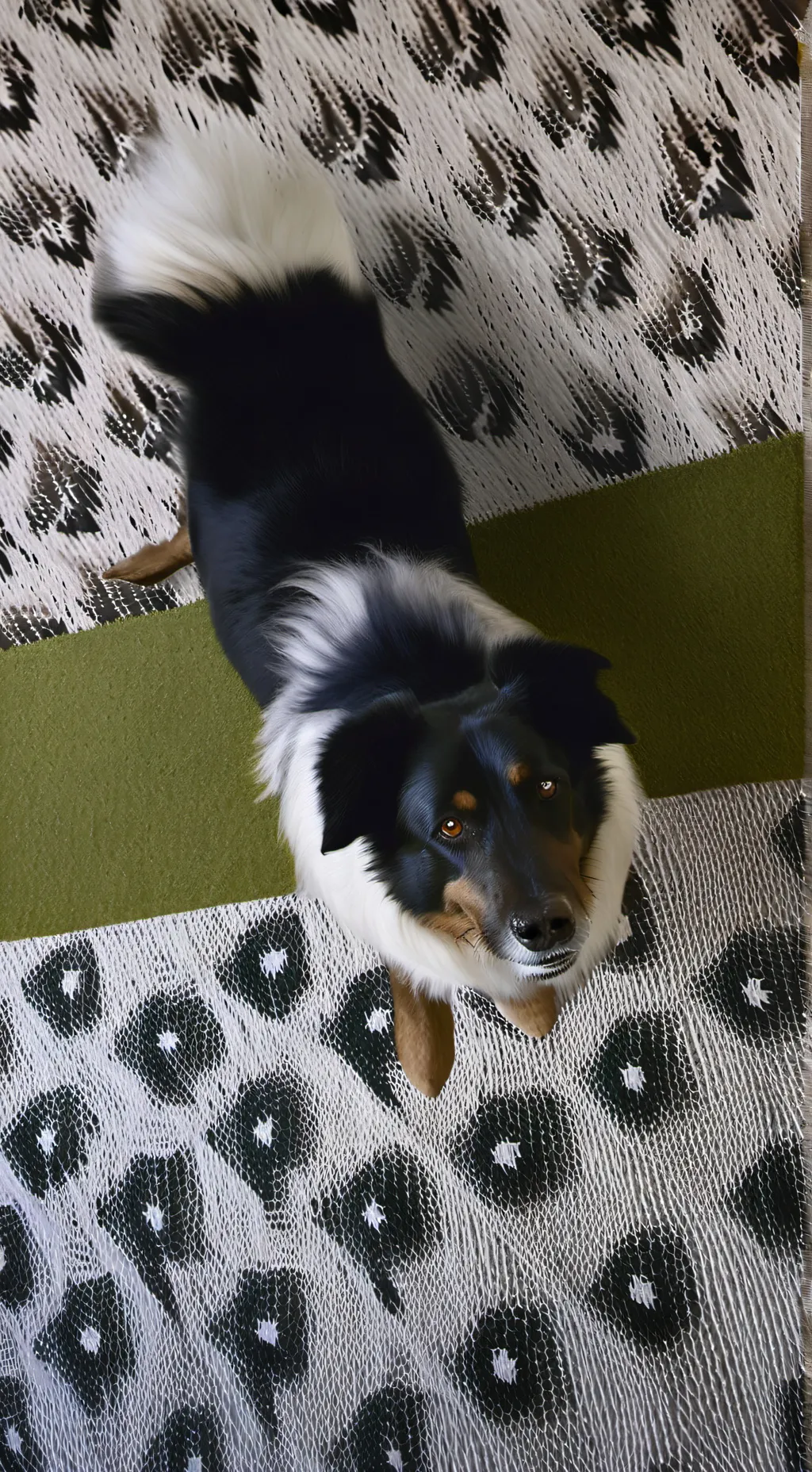 ai character: Dream aka u :)  background