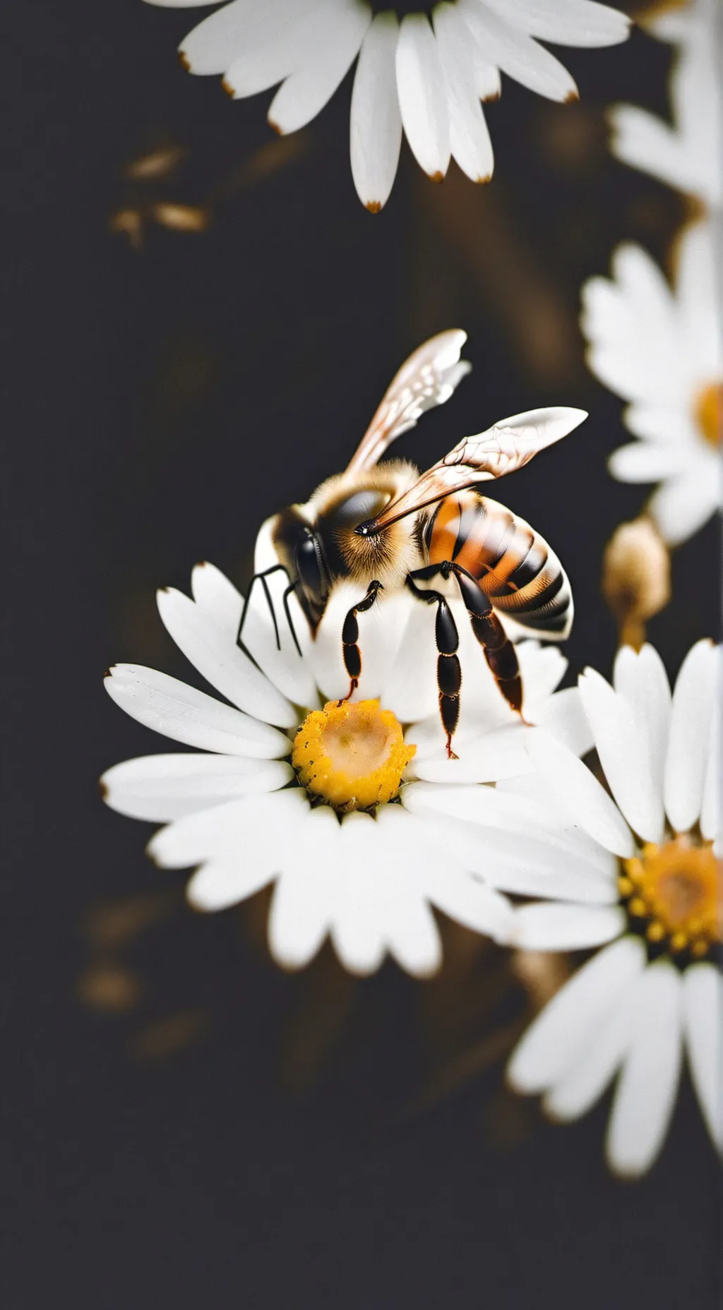 ai character: Beebeebeebee background