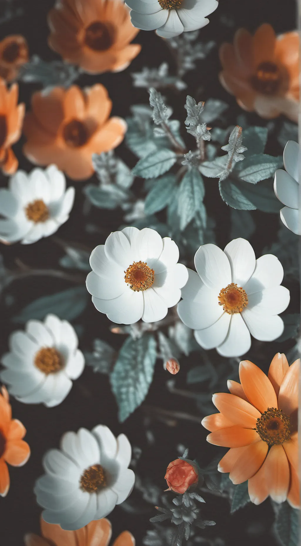 ai character: ℘ango x 𝓙nuyasha background