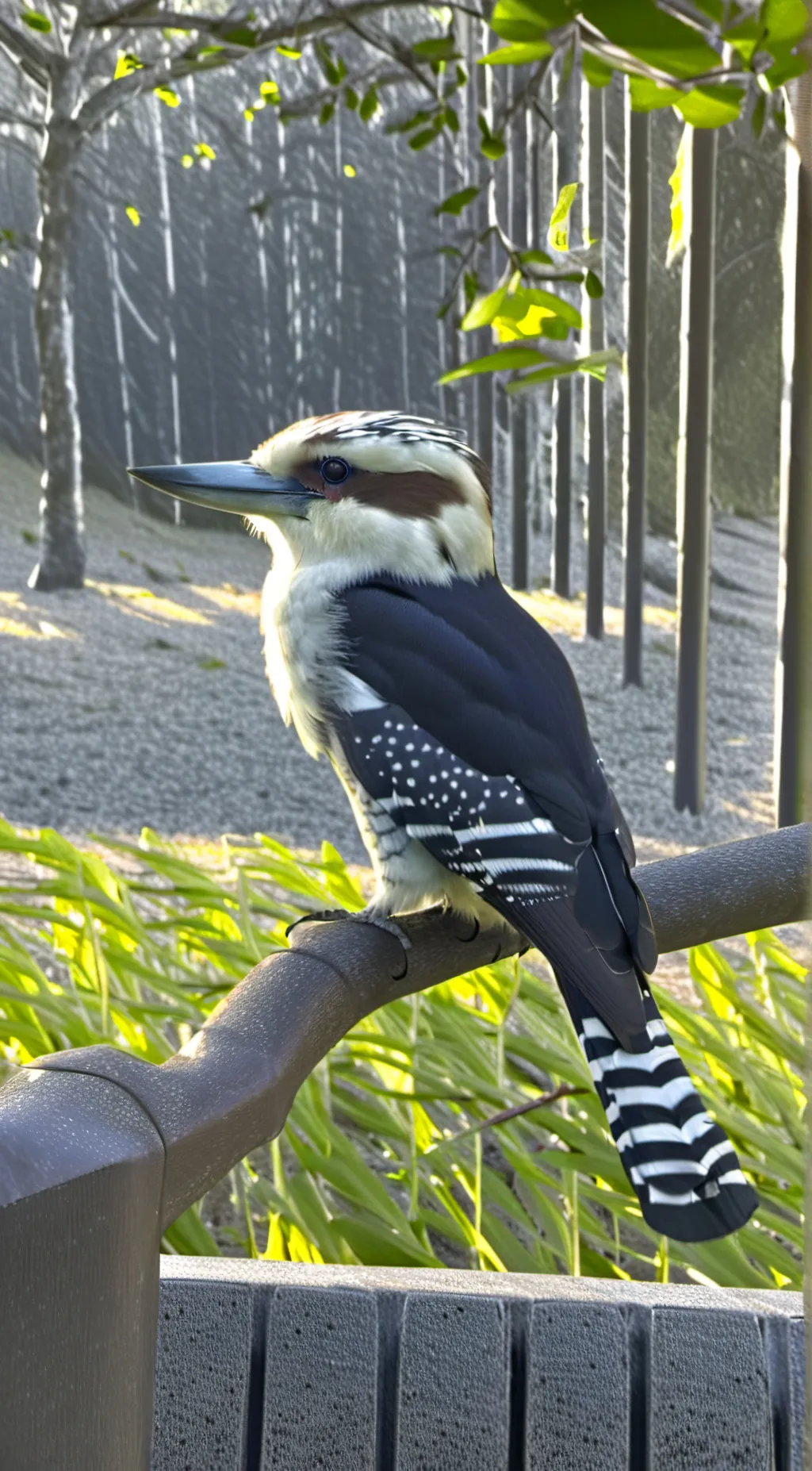 ai character:  Kooky background