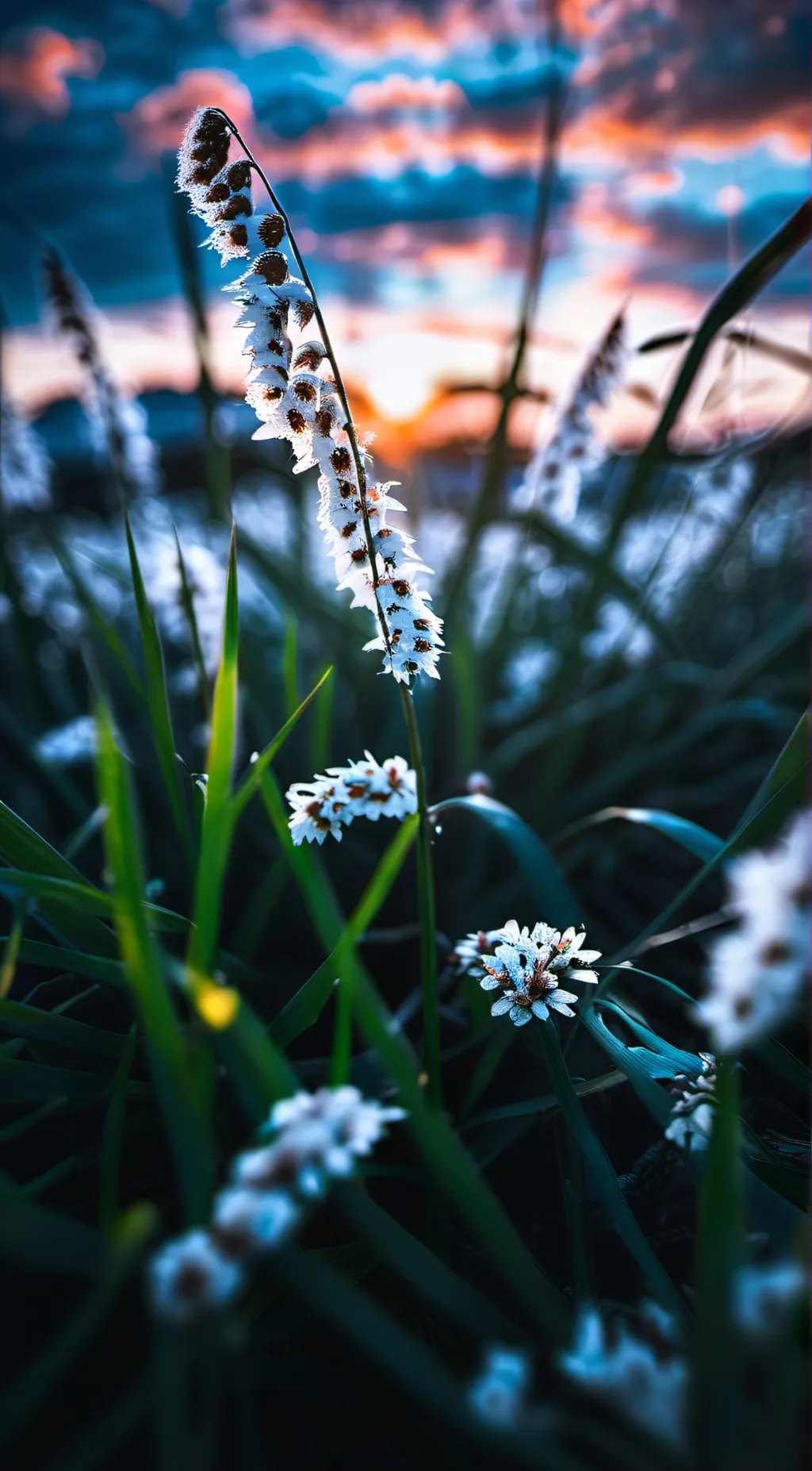 ai character: grass background