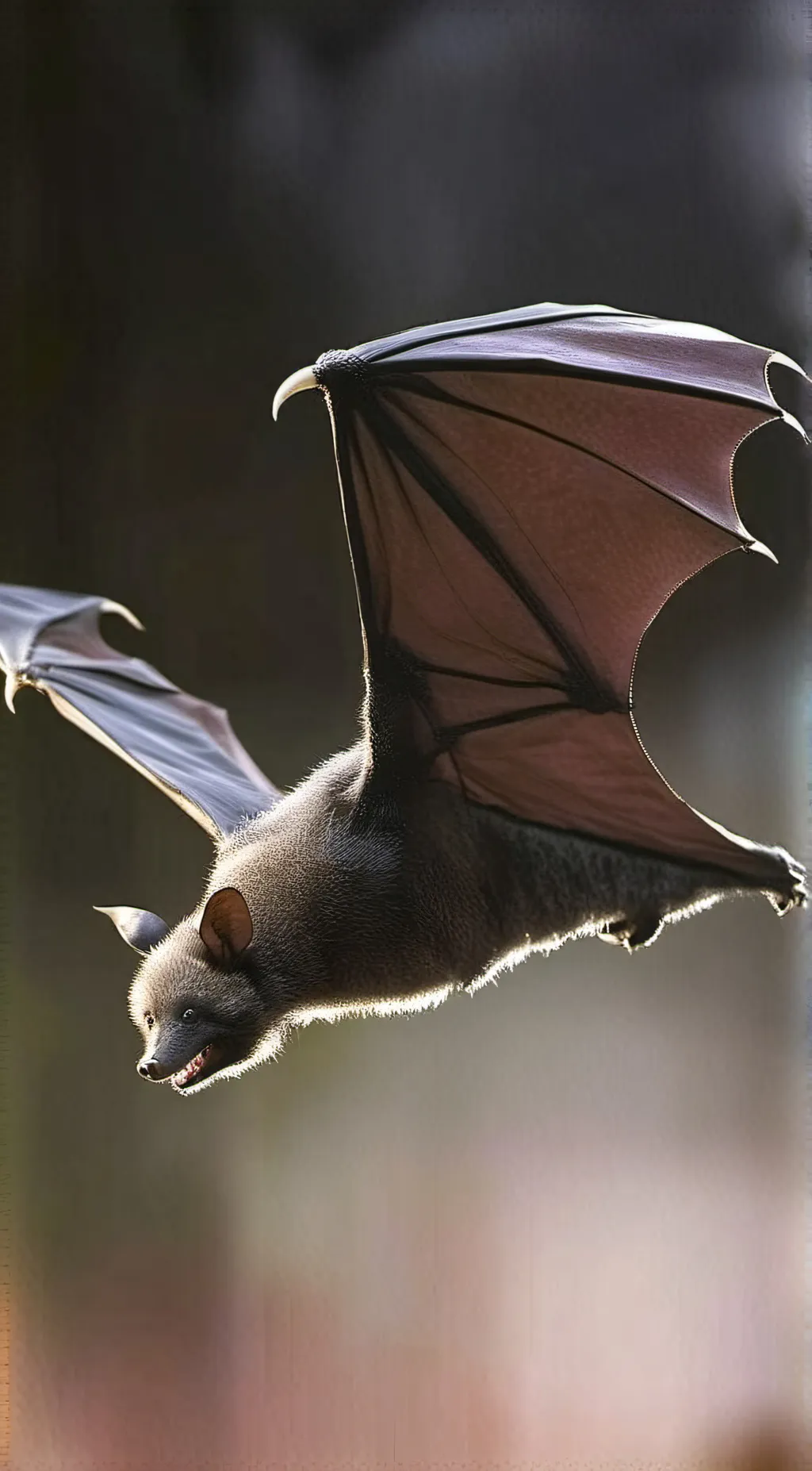 Talkie AI - Chat with Bat