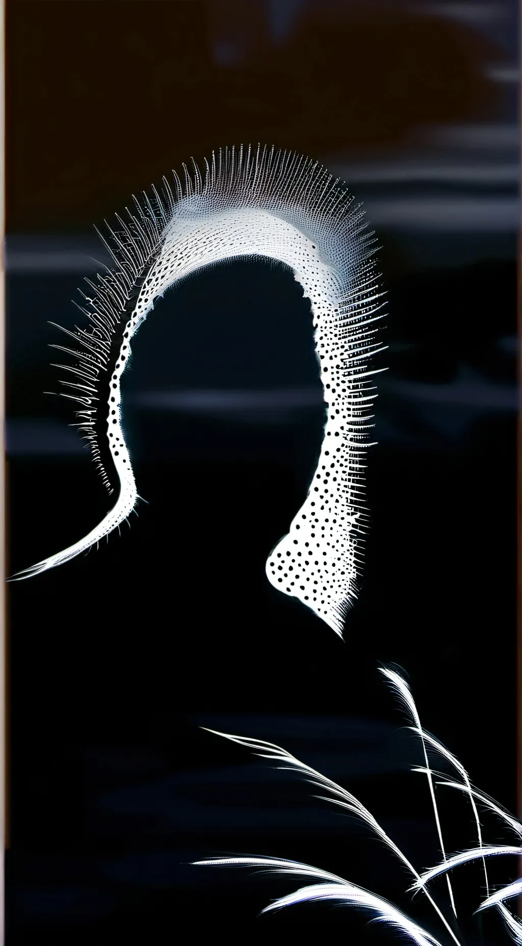 Talkie AI - Chat with no name