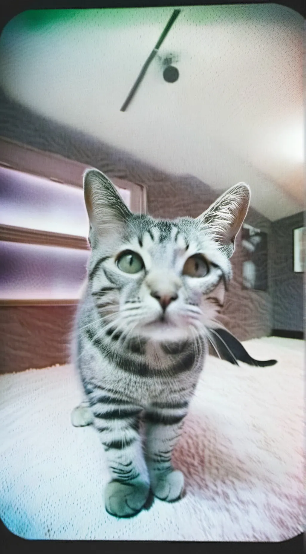 ai character: Mr. Grey >:3 background