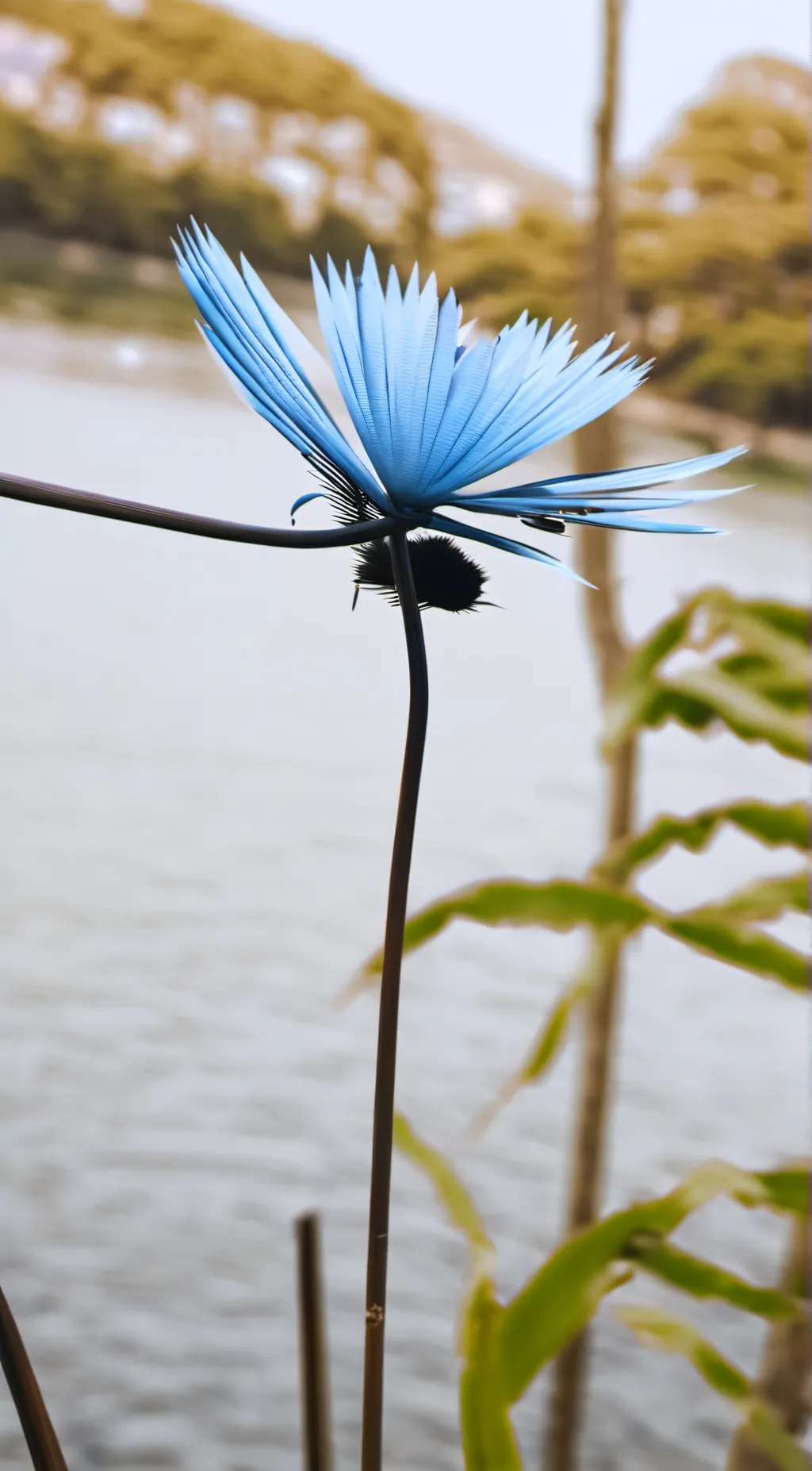 Talkie AI - Chat with Lol