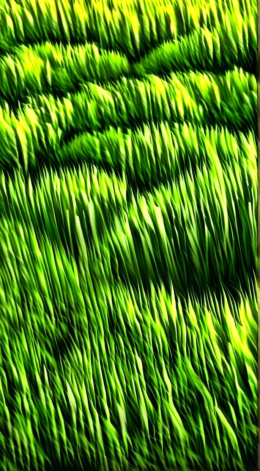 Talkie AI - Chat with Grass