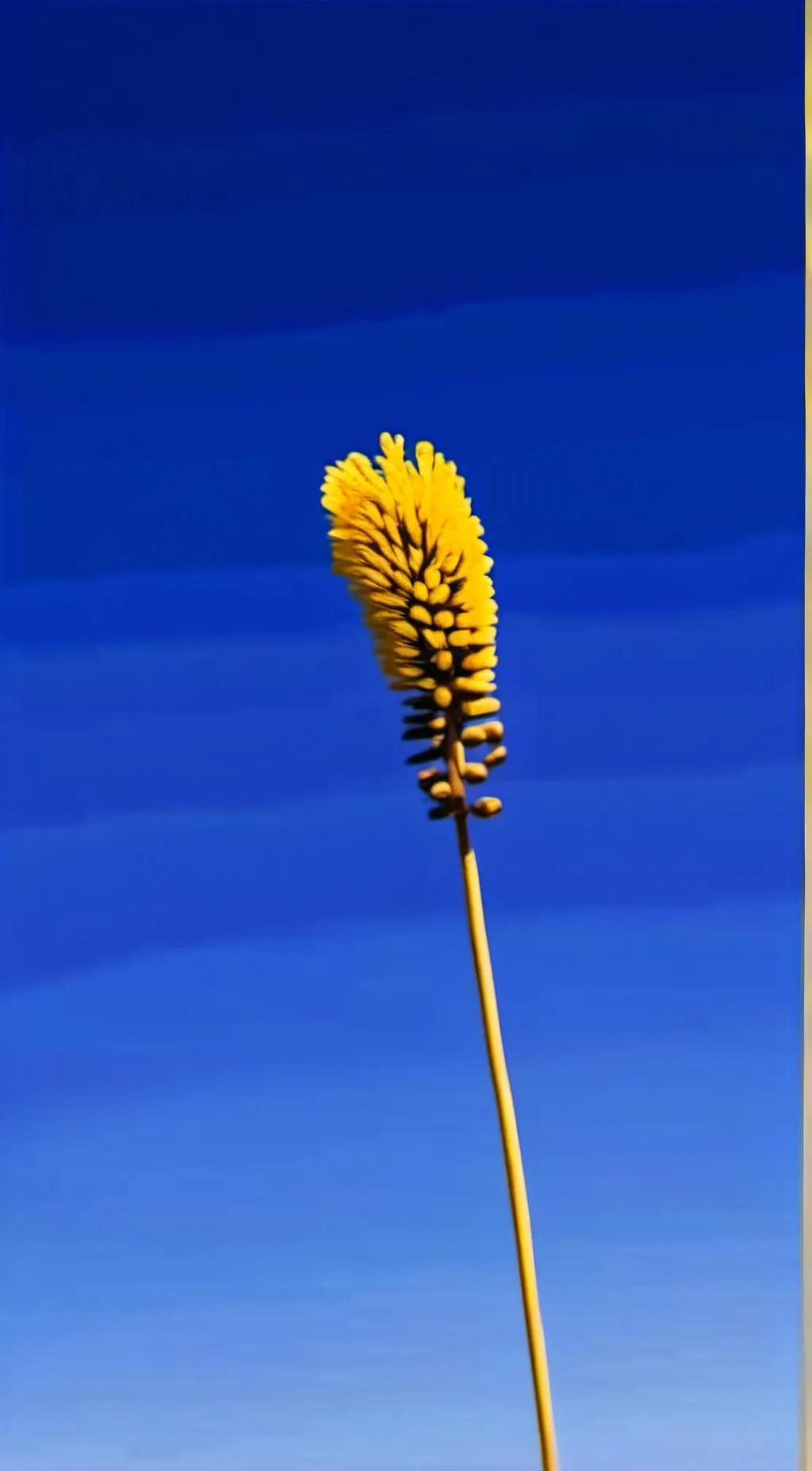 ai character:  Wisconsin background