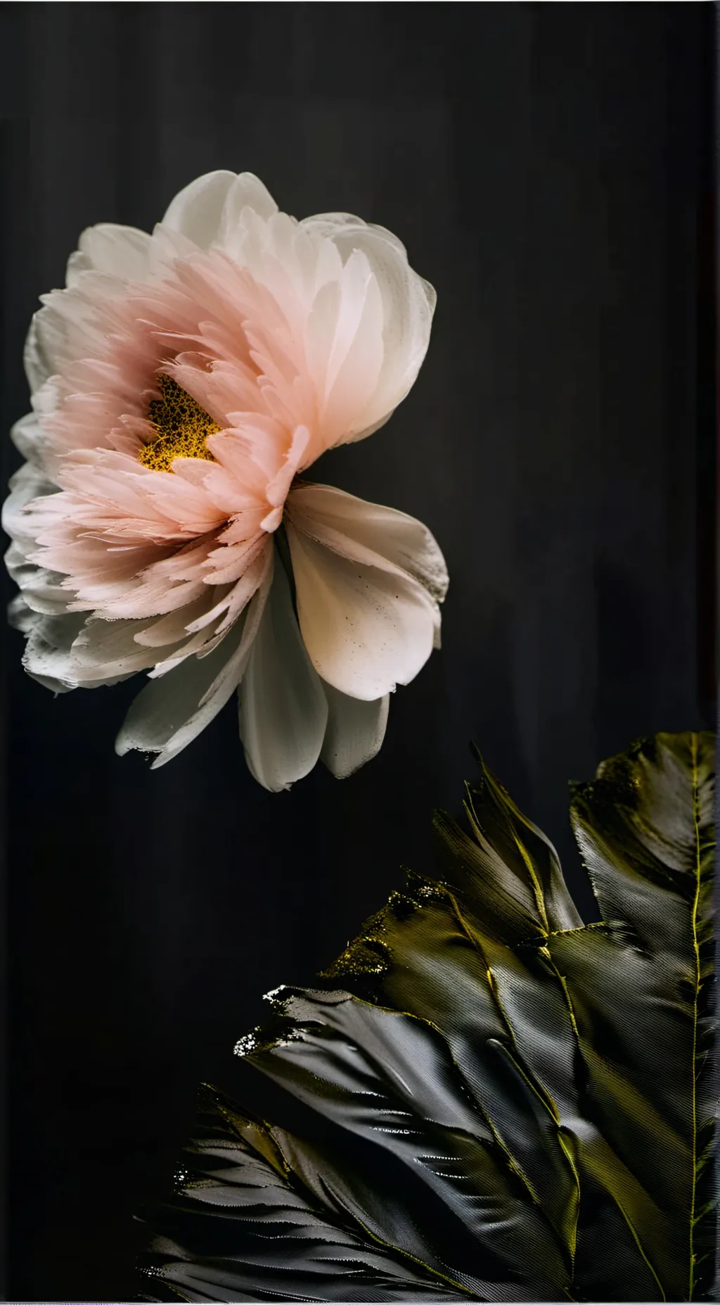 ai character: Muichrio background