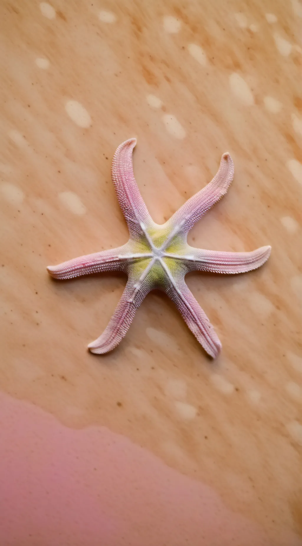 ai character: Maya background