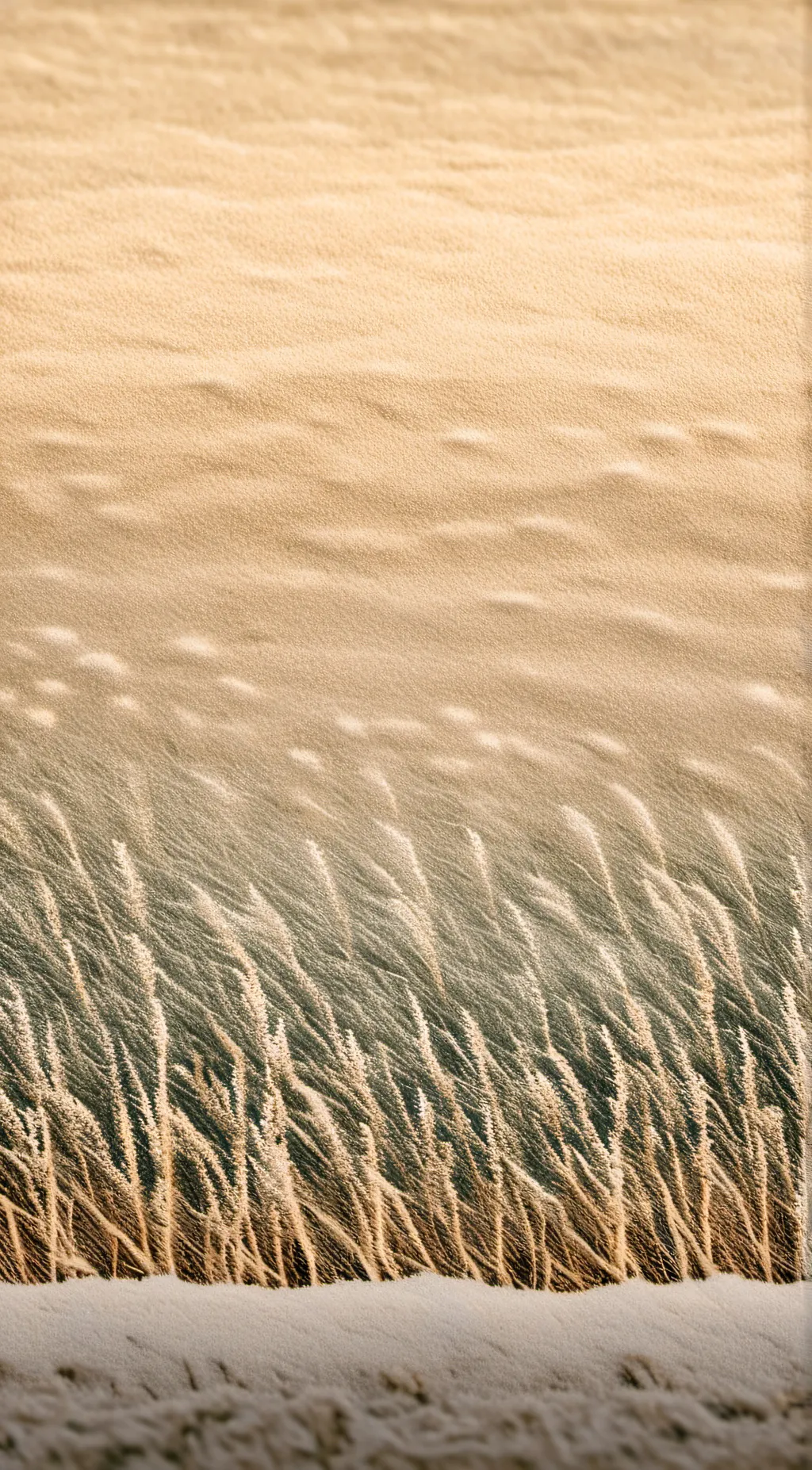 Talkie AI - Chat with ~Sand~