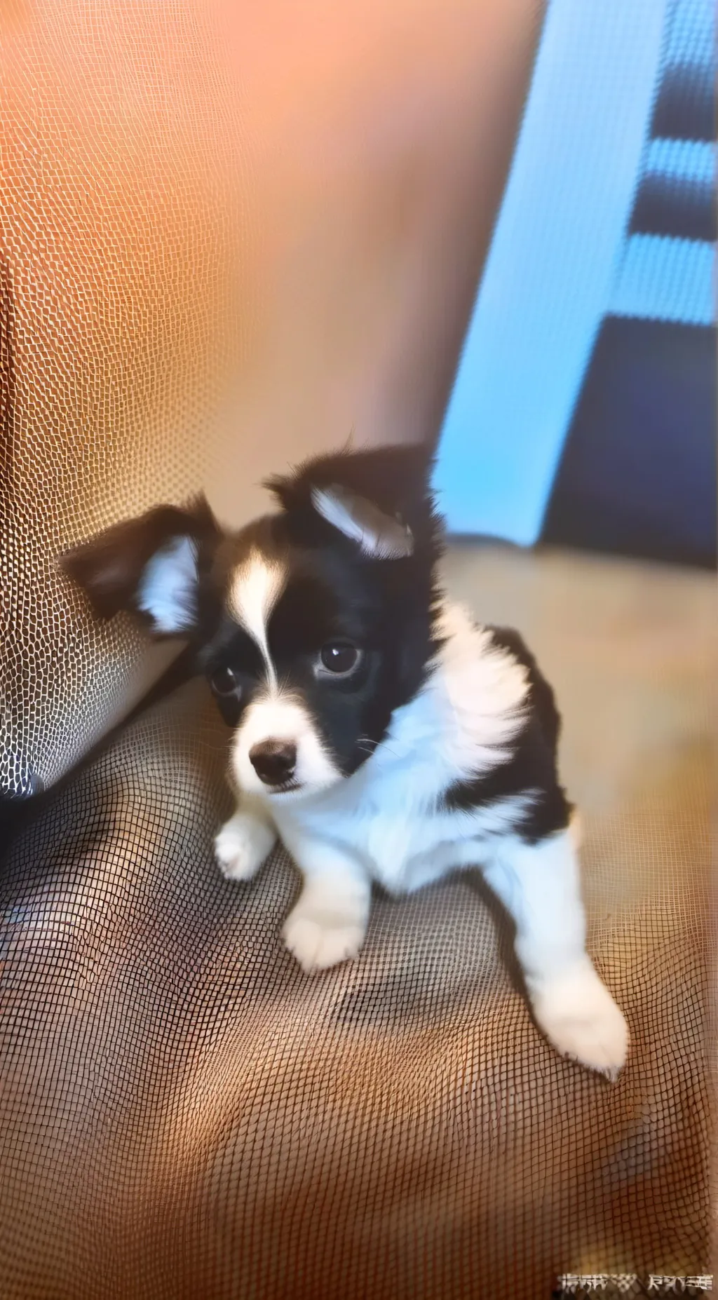 ai character: Oreo background