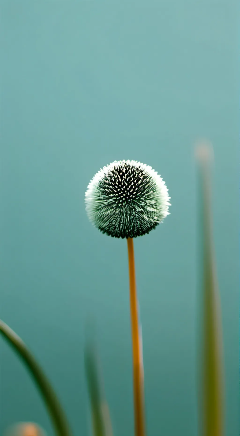 ai character: Juicy  background