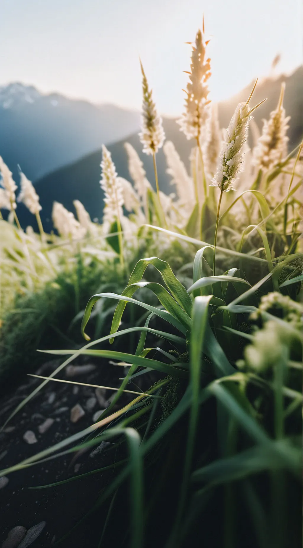 Talkie AI - Chat with Grass