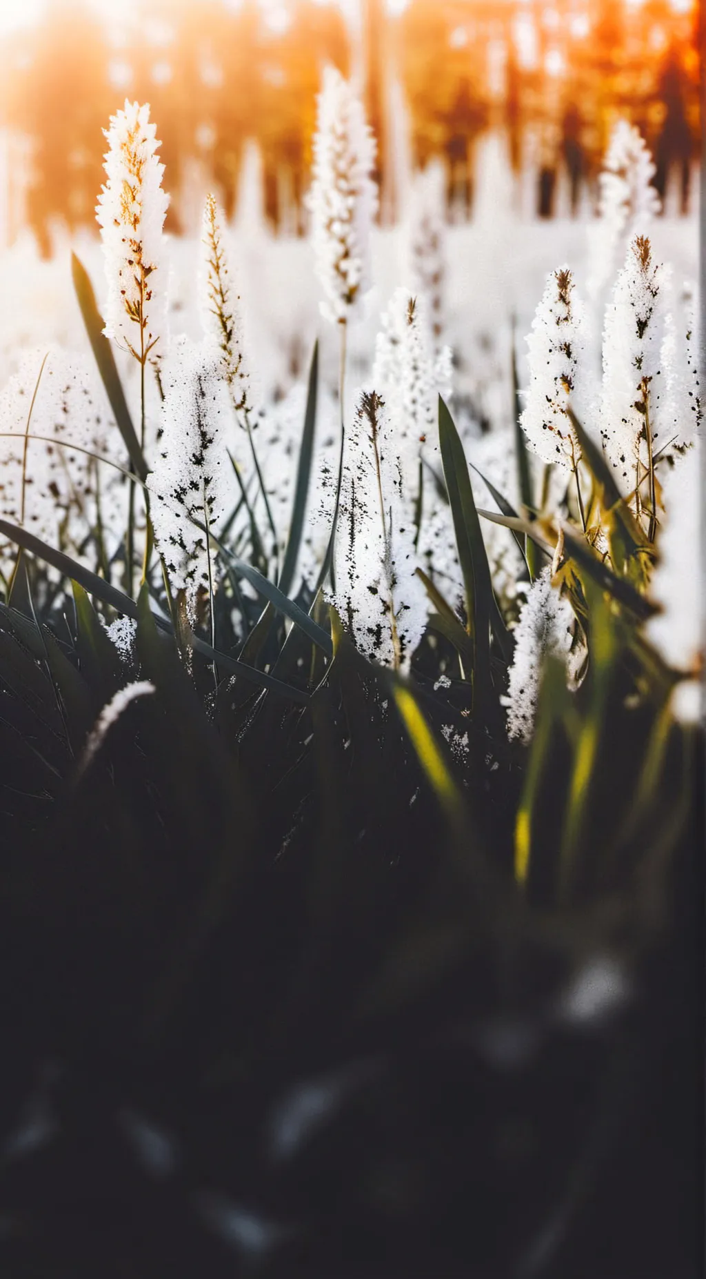 ai character: TOUCH GRASS BRO background