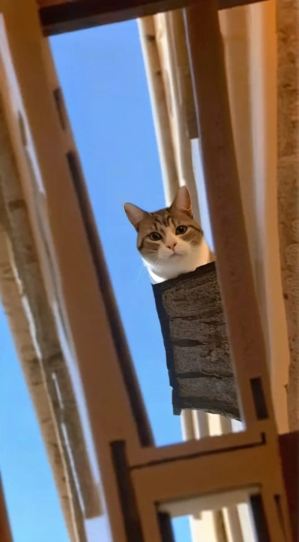 Talkie AI - Chat with Peanut butterthuga