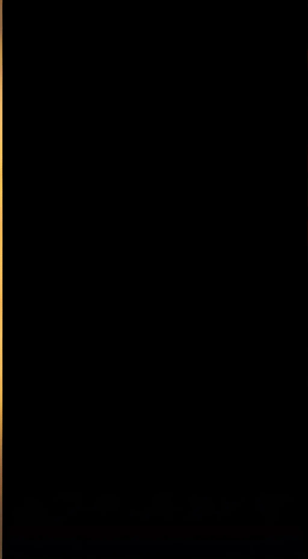 ai character: Lewis and Sarah background