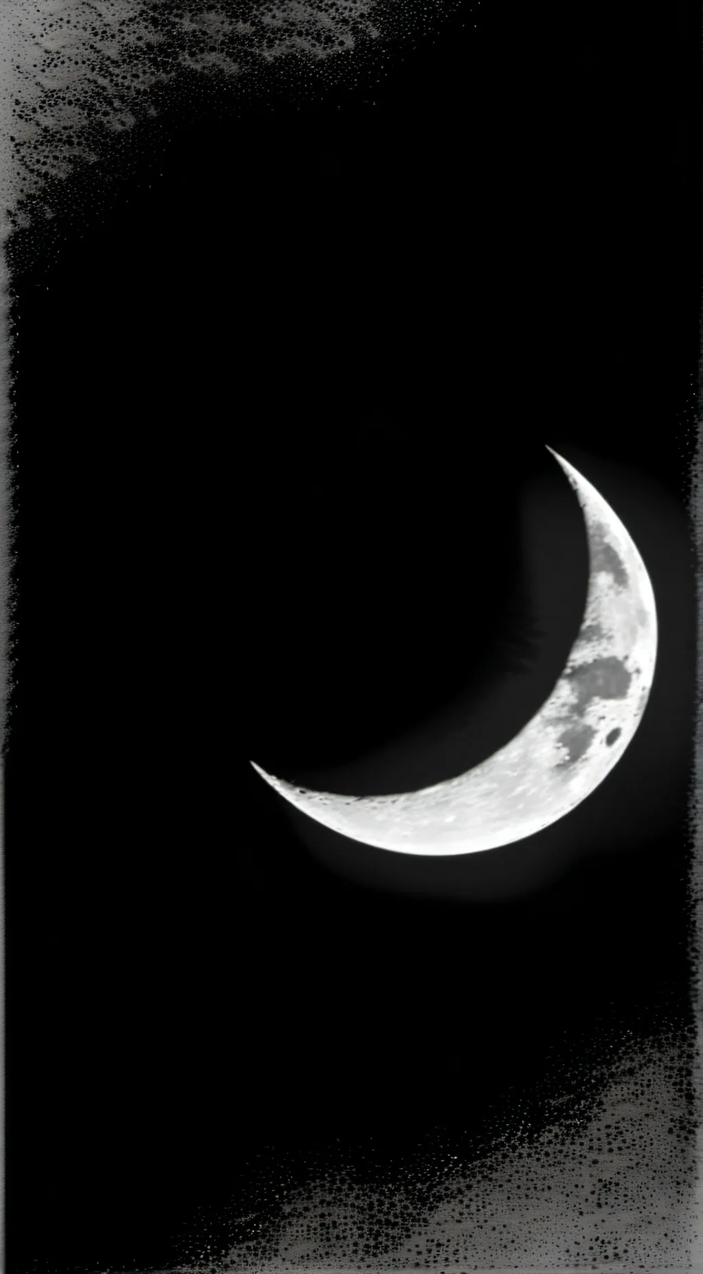 Talkie AI - Chat with migration (movie)